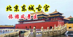 操逼美女网站性色中国北京-东城古宫旅游风景区